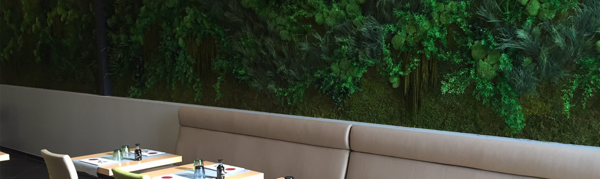 cuisine japonaise cornebarrieu